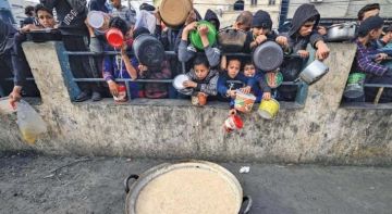 سلطة المياه تحذر من كارثة إنسانية وشيكة في غزة وتطلق نداء عاجلا للمجتمع الدولي سلطة المياه تحذر من كارثة إنسانية وشيكة في غزة وتطلق نداء عاجلا للمجتمع الدولي