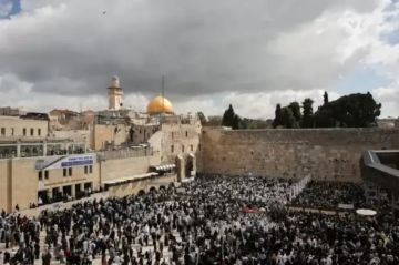 بالفيديو آلاف المستوطنين يقتحمون المسجد الأقصى بالفيديو آلاف المستوطنين يقتحمون المسجد الأقصى