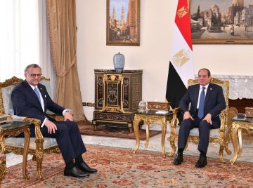 السيسي يلتقي كبير مستشاري ترامب وسط تكهنات بتوترات مصرية-أمريكية