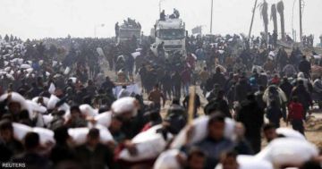 بينهم امرأة مسنة... الاحتلال قتل 7 مجوعين خلال محاولتهم استلام المساعدات من رفح