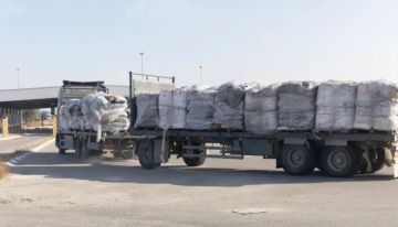 تقرير: المحكمة العليا الإسرائيلية تشرعن حرب الإبادة في غزة تقرير: المحكمة العليا الإسرائيلية تشرعن حرب الإبادة في غزة