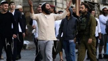 مستوطنون يقتلعون 180 شجرة زيتون في قلقيلية