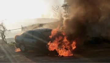 حماس تدعو لصد هجمات المستوطنين في الضفة حماس تدعو لصد هجمات المستوطنين في الضفة