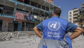 عدد اللاجئين المسجلين لدى أونروا بلغ 5.9 مليو لاجئ عدد اللاجئين المسجلين لدى أونروا بلغ 5.9 مليو لاجئ