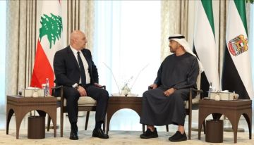 رئيس الإمارات يبحث مع نظيره اللبناني ملفات إقليمية ودولية