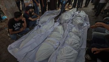 الإعلام الحكومي: الفلسطينيون الجوعى بالقطاع هدف للقناصة الإسرائيليين