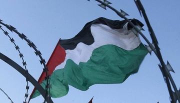 وزير إسرائيلي يهدد الضفة في حال اعترفت أوروبا بدولة فلسطين وزير إسرائيلي يهدد الضفة في حال اعترفت أوروبا بدولة فلسطين