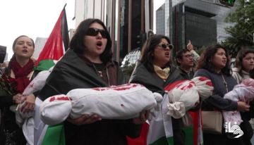آلاف يتظاهرون في البرازيل وتشيلي والمكسيك ولاهاي لوقف حرب الإبادة على غزة