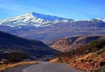 الجيش الإسرائيلي: غارة تستهدف عنصرا في حماس جنوبي سوريا