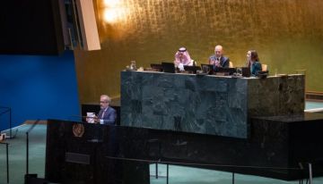 تواصل أعمال مؤتمر الأمم المتحدة حول تسوية القضية الفلسطينية وتنفيذ حل الدولتين