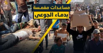 مجزرة مروعة ضد مجوعي غزة.. عشرات الشهداء والجرحى في زكيم شمال القطاع