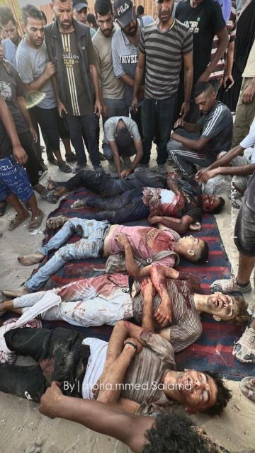 25 شهيدا من منتظري المساعدات في خانيونس ومجمع ناصر يحذر: لا نستطيع تقديم الخدمات الطبية 25 شهيدا من منتظري المساعدات في خانيونس ومجمع ناصر يحذر: لا نستطيع تقديم الخدمات الطبية