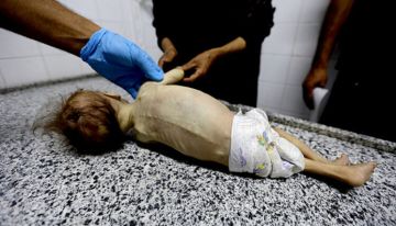 منظمات إغاثة بغزة: إسرائيل تعرقل إدخال مواد غذائية للأطفال الرضع وتتسبب بوفاتهم منظمات إغاثة بغزة: إسرائيل تعرقل إدخال مواد غذائية للأطفال الرضع وتتسبب بوفاتهم