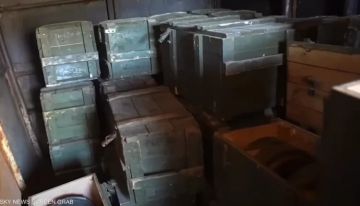 الاحتلال يضبط أطنانا من الأسلحة في مواقع تابعة لنظام الأسد الاحتلال يضبط أطنانا من الأسلحة في مواقع تابعة لنظام الأسد