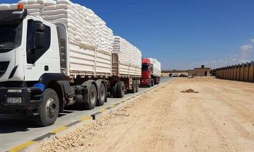 الإعلام الحكومي يحذر من روايات زائفة حول دخول مساعدات لغزة من دول عربية