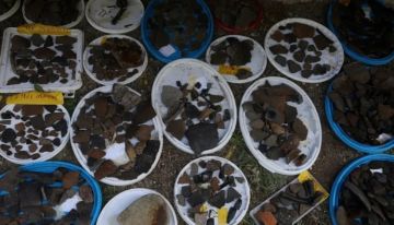 اكتشاف أقدم مستوطنة بشرية على بحيرة أوروبية في ألبانيا