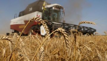 للمرة الأولى منذ 2021.. روسيا تخفض رسوم تصدير القمح إلى الصفر لتعزيز المبيعات