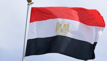 الخارجية المصرية: القاهرة تستنكر اتهامات غير مبررة لمصر بالمساهمة في حصار غزة الخارجية المصرية: القاهرة تستنكر اتهامات غير مبررة لمصر بالمساهمة في حصار غزة