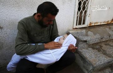 من بينهم 1,060 شهيدا من شهداء لقمة العيش.. ارتفاع حصيلة ضحايا العدوان الإسرائيلي على غزة من بينهم 1,060 شهيدا من شهداء لقمة العيش.. ارتفاع حصيلة ضحايا العدوان الإسرائيلي على غزة