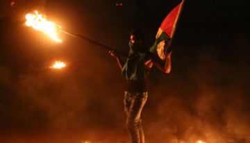 مواجهات في بيتا بعد هجوم مستوطنين على منطقة قماص جنوب نابلس مواجهات في بيتا بعد هجوم مستوطنين على منطقة قماص جنوب نابلس