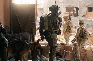 شهادات ضباط إسرائيليين تكشف انهيار رواية السيطرة على غزة