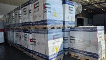 الإمارات تعلن وصول سفينة جديدة تحمل 2500 طن من المساعدات لغزة