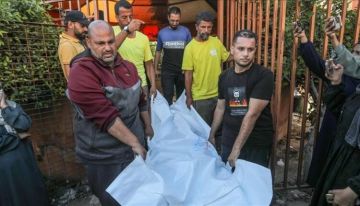 ارتفاع حصيلة ضحايا المساعدات إلى 773 شهيدا ارتفاع حصيلة ضحايا المساعدات إلى 773 شهيدا