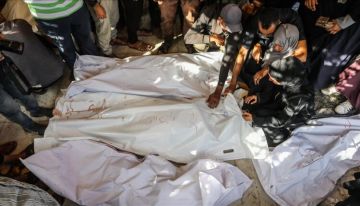 الإعلام الحكومي: ارتفاع حصيلة ضحايا المساعدات إلى 805 شهداء