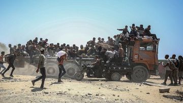 سيناتور أمريكية: حكومة نتنياهو خلقت كارثة تاريخية في غزة