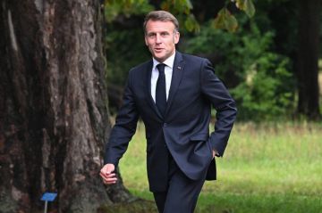 صوت ماكرون وصداه... لماذا ستعترف فرنسا بدولة فلسطين؟ صوت ماكرون وصداه... لماذا ستعترف فرنسا بدولة فلسطين؟