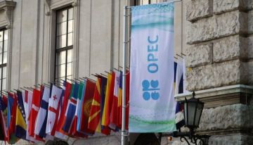 بلومبرغ: أوبك يتجه لإعادة 550 ألف برميل نفط جديدة إلى السوق
