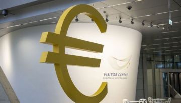 عضو بـالمركزي الأوروبي: اليورو غير مستعد لمنافسة الدولار