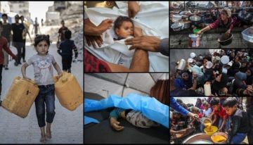 غزة تموت جوعا.. الأونروا تدعو لرفع الحصار لإنهاء المجاعة غزة تموت جوعا.. الأونروا تدعو لرفع الحصار لإنهاء المجاعة