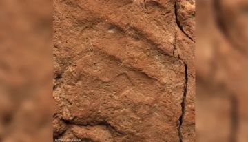 مصر.. اكتشاف بصمة يد عمرها 4 آلاف عام على أثر طيني