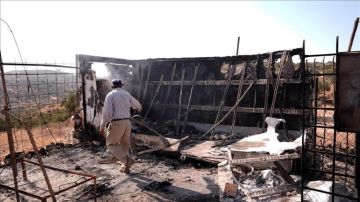 مستوطنون إسرائيليون يهاجمون أراض وممتلكات فلسطينية بالضفة مستوطنون إسرائيليون يهاجمون أراض وممتلكات فلسطينية بالضفة