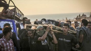 88 شهيدا في غزة خلال الـ24 ساعة... وحصيلة جديدة لضحايا لقمة العيش 88 شهيدا في غزة خلال الـ24 ساعة... وحصيلة جديدة لضحايا لقمة العيش