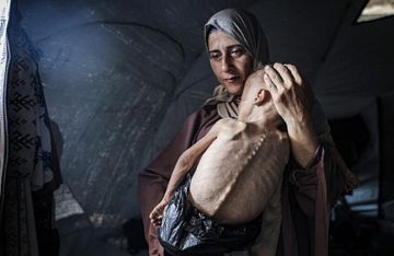 الصحة بغزة: 11 شهيدا جراء التجويع وسوء التغذية خلال الـ24 ساعة الماضية الصحة بغزة: 11 شهيدا جراء التجويع وسوء التغذية خلال الـ24 ساعة الماضية