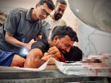 83 شهيدا خلال 24 ساعة... وحصيلة جديدة لضحايا كمائن المساعدات بغزة 83 شهيدا خلال 24 ساعة... وحصيلة جديدة لضحايا كمائن المساعدات بغزة