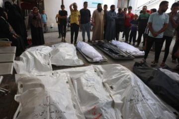 غزة: 60 شهيدا و343 مصابا خلال 24 ساعة.. وارتفاع شهداء التجويع إلى 266 غزة: 60 شهيدا و343 مصابا خلال 24 ساعة.. وارتفاع شهداء التجويع إلى 266