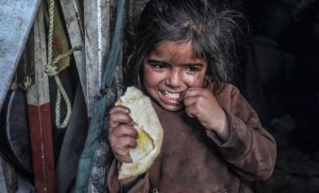 اليونيسف: 112 طفلا يدخلون دائرة سوء التغذية يوميا في قطاع غزة اليونيسف: 112 طفلا يدخلون دائرة سوء التغذية يوميا في قطاع غزة