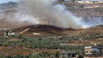 مستعمرون يمنعون المواطنين من العمل في أراضيهم بالأغوار الشمالية مستعمرون يمنعون المواطنين من العمل في أراضيهم بالأغوار الشمالية