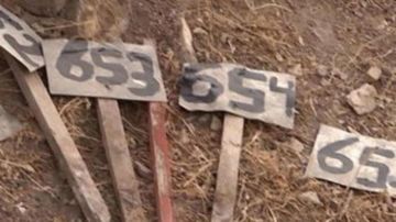 إعلام الأسرى: احتجاز الاحتلال جثامين الشهداء انتهاك فاضح للقانون الدولي الإنساني