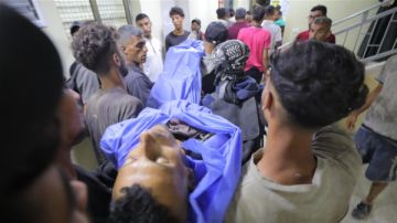 94 شهيدا و439 إصابة خلال 24 ساعة في قطاع غزة 94 شهيدا و439 إصابة خلال 24 ساعة في قطاع غزة