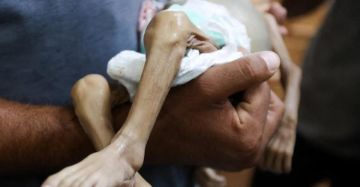 الصحة بغزة: 10 وفيات جديدة بسبب المجاعة خلال 24 ساعة