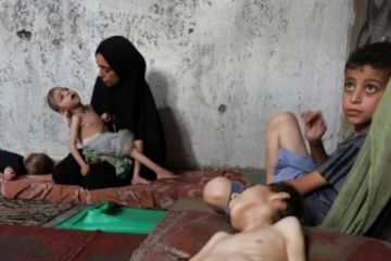 6 شهداء نتيجة التجويع في غزة خلال الساعات الـ24 الماضية