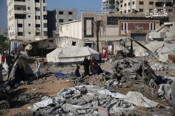 الدفاع المدني: سكان مدينة غزة يتعرضون لتطهير عرقي منظم الدفاع المدني: سكان مدينة غزة يتعرضون لتطهير عرقي منظم