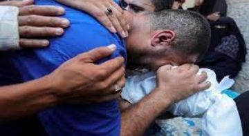 23 شهيدا برصاص وقصف الاحتلال مناطق متفرقة من قطاع غزة 23 شهيدا برصاص وقصف الاحتلال مناطق متفرقة من قطاع غزة