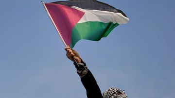 البرتغال تعلن رسميا الاعتراف بدولة فلسطين البرتغال تعلن رسميا الاعتراف بدولة فلسطين