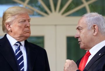 ترامب يتحدث عن مناقشات مكثفة مع دول المنطقة بشأن غزة