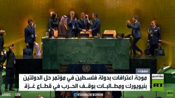 مؤتمر حل الدولتين.. موجة اعتراف بفلسطين